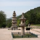 중원-95 Daum카페