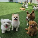 낙원유치원 이미지