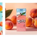 피크닉 이미지