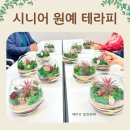 화도노인복지관 | 원예 강사가 추천하는 노인 복지관 수업, 시니어를 위한 정서지원 프로그램, '나의 시간 담은 테라리움'