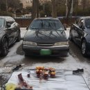 프린스펫 이미지