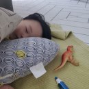 스프링타임주 이미지