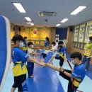 신영태비태권도 이미지