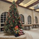 엔마트 오산점 | 오산/동탄 신상 카페 '하우스오브포지' | 초대형트리 사진 맛집