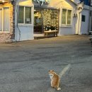 달맞이 경동메르빌 | 부산 해운대 달맞이 와인바 수와프 , 두 번 가세요