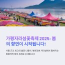 원별 | 가평자라섬꽃축제기간 2025 : 수국개화상황 일정,주변관광지,주차장까지