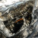 영카센타 이미지