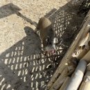 솔염소농장 이미지