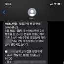 파스타파니 이미지