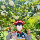 아이샘터유치원 이미지