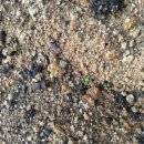 소꼽놀이 하우스 이미지