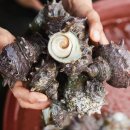 법환 어촌계 이미지