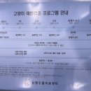 뉴엘동물의료센터 이미지