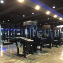 뉴캡틴짐 이미지