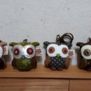 영광열쇠 이미지