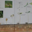 재미 쏙쏙 생각 쑥쑥 이미지