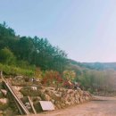 민지농장 이미지