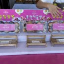통영애꿀빵