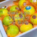 승환상회 | 싱싱한 여름황금향은 아빠는농부다 승환이네농장에서