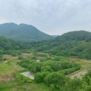 돌리네습지주차장 이미지