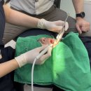 탄탄치과기공소 이미지