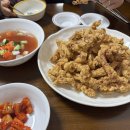 목화반점 이미지