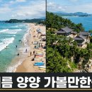 제주도서핑샵문서프 | 여름 양양 가볼만한곳, 서핑 해변부터 낙산사까지 바다 일정