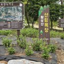 (유) 보성녹차떡갈비 원조 네이버블로그