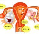 호성한의원 이미지