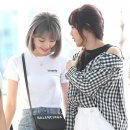 미야와키 사쿠라 카카오 검색결과