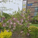 문래동 꽃밭정원 이미지