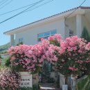 충남 공주 | 공주 정원카페 추천 카페 보니비(5.31방문 기준)