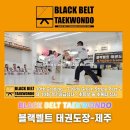 정도태권도장블랙