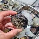 마시안어촌체험·휴양마을 이미지