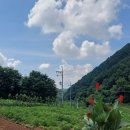 산골이야기 이미지