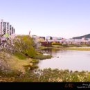 화랑유원지 이미지