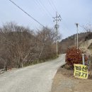 장안한옥민박 이미지