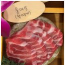 사조참치 이미지