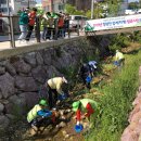 정량천 생태하천 이미지