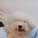 보듬보듬 이미지