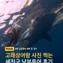 세부 세친구투어 오모팩 후기 및 가격, 선택한 이유