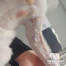 여서동물병원 이미지