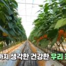 남승민농장 티스토리