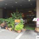 서래마을 이미지