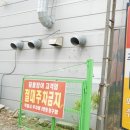 아산짚불꼼장어 이미지