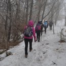 방화동가족휴가촌 자동차야영장 이미지