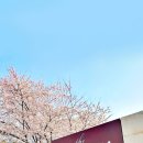 더뷰1151 이미지