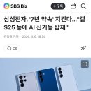삼성전자, '7년 약속' 지킨다…"갤S25 등에 AI 신기능 탑재" 이미지