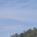 냉천목장 이미지