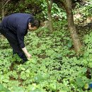 김진규농장 이미지